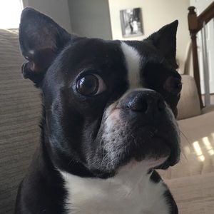 Meet your Posher, Tiffany